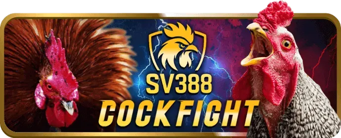 Hỗ trợ khách hàng one88co